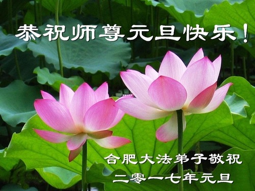 Image for article Praktisi Falun Dafa dari Provinsi Anhui dengan Hormat Mengucapkan Selamat Tahun Baru kepada Guru Li Hongzhi (32 Ucapan)