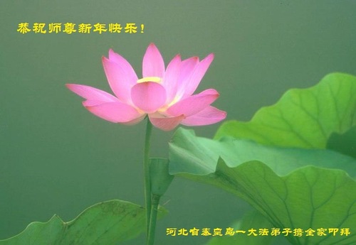 Image for article Praktisi Falun Dafa dari Kota Qinhuangdao Mengucapkan Selamat Tahun Baru kepada Guru Li Hongzhi Terhormat (22 Ucapan)