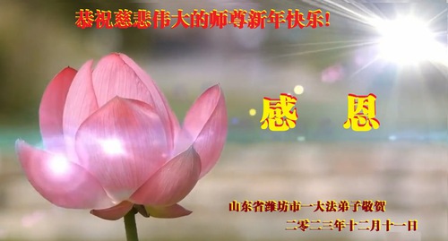 Image for article تمرین‌کنندگان فالون دافا از شهر ویفانگ با احترام سال نو را به استاد لی هنگجی تبریک می‌گویند (21 تبریک)