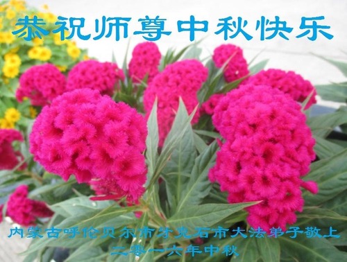 Image for article Praktisi Falun Dafa dari Mongolia Dalam Dengan Hormat Mengucapkan Selamat Merayakan Festival Pertengahan Musim Gugur kepada Guru Li Hongzhi (28 Ucapan)