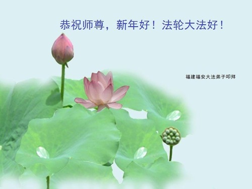 Image for article Praktisi Falun Dafa dari Provinsi Fujian dengan Hormat Mengucapkan Selamat Tahun Baru kepada Guru Li Hongzhi (21 Ucapan)
