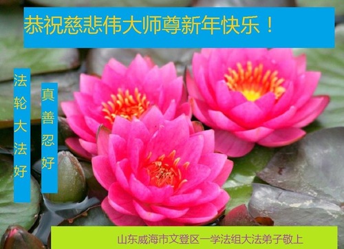 Image for article Praktisi Falun Dafa dari Shandong, Shaanxi dan Provinsi Sichuan dengan Hormat Mengucapkan Selamat Tahun Baru kepada Guru Li Hongzhi (31 Ucapan)
