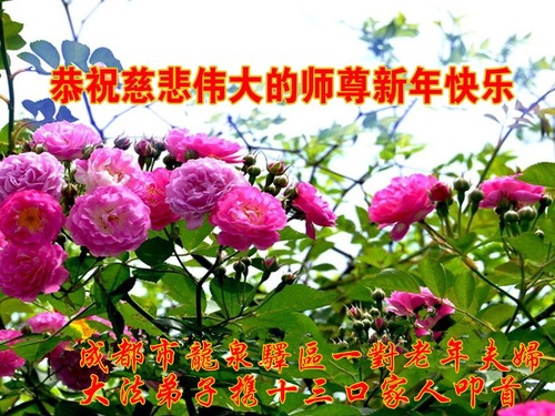 Image for article I praticanti della Falun Dafa della città di Chengdu augurano rispettosamente al Maestro Li Hongzhi un felice anno nuovo cinese (23 saluti)