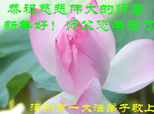 Image for article Praktisi Falun Dafa dari Kota Baoding dengan Hormat Mengucapkan Selamat Tahun Baru Imlek kepada Guru Li Hongzhi (22 Ucapan) 