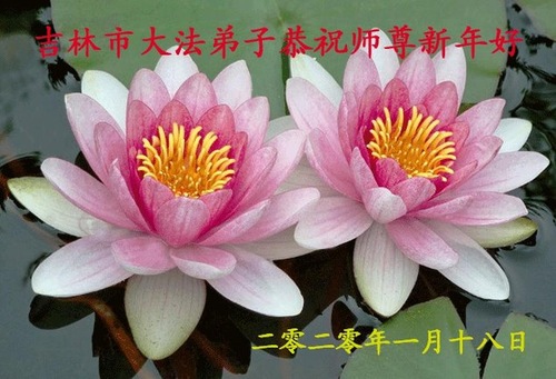 Image for article I praticanti della Falun Dafa di Jilin City augurano rispettosamente al Maestro Li Hongzhi un felice anno nuovo cinese (21 saluti)