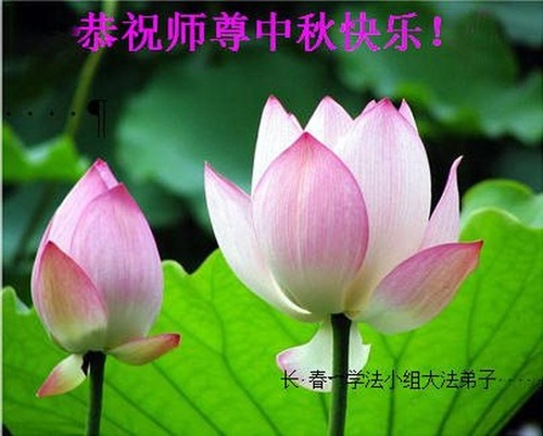 Image for article Praktisi Falun Dafa dari Kota Changchun Dengan Hormat Mengucapkan Selamat Merayakan Festival Pertengahan Musim Gugur kepada Guru Li Hongzhi (22 Ucapan)