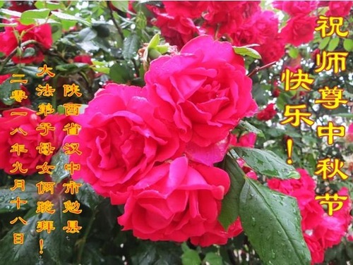 Image for article Praktisi Falun Dafa dari Provinsi Shaanxi Dengan Hormat Mengucapkan Selamat Merayakan Pertengahan Musim Gugur kepada Guru Li Hongzhi (19 Ucapan)