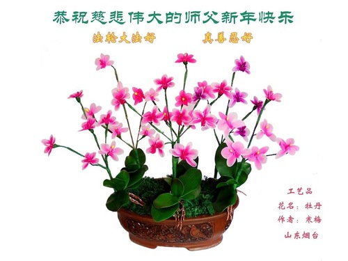 Image for article Praktisi Falun Dafa dari Shandong dengan Hormat Mengucapkan Selamat Tahun Baru kepada Guru Li Hongzhi (19 Ucapan)