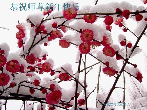 Image for article I praticanti della Falun Dafa residenti nelle campagne augurano rispettosamente al Maestro Li Hongzhi un felice anno nuovo (21 saluti)