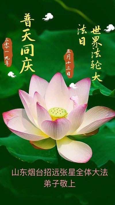 Image for article Praktisi Falun Dafa dari Provinsi Shandong Merayakan Hari Falun Dafa Sedunia dan Dengan Hormat Mengucapkan Selamat Ulang Tahun kepada Guru Li Hongzhi (21 Ucapan)