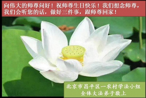 Image for article Praktisi Falun Dafa di Kawasan Pedesaan Tiongkok Merayakan Hari Falun Dafa Sedunia dan dengan Hormat Mengucapkan Selamat Ulang Tahun kepada Guru yang Terhormat (51 Ucapan)