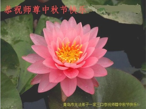 Description: http://en.minghui.org/u/article_images/9de773bc0bfb73e3682f5710d4240642.jpg