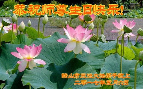 Image for article Praktisi Falun Dafa dari Provinsi Liaoning Merayakan Hari Falun Dafa Sedunia dan Dengan Hormat Mengucapkan Selamat Ulang Tahun kepada Guru Li Hongzhi (18 Ucapan)