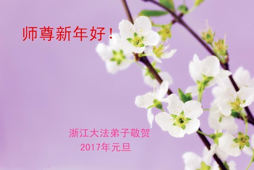 Image for article Praktisi Falun Dafa dari Provinsi Zhejiang dengan Hormat Mengucapkan Selamat Tahun Baru kepada Guru Li Hongzhi (27 Ucapan)