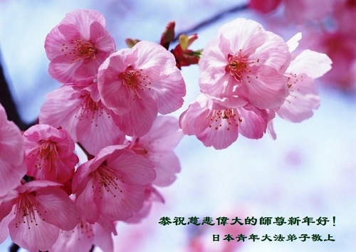 Praktisi Muda dari Jepang dengan Hormat Mengucapkan Selamat Tahun Baru kepada Guru Terhormat!