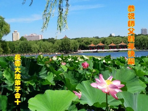 Image for article Praktisi Falun Dafa dari Kota Changchun Mengucapkan Selamat Tahun Baru kepada Guru Terhormat (20 Ucapan)