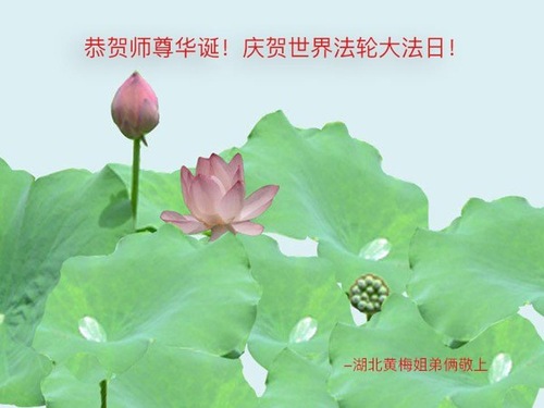 Image for article Praktisi Falun Dafa dari Provinsi Hubei Merayakan Hari Falun Dafa Sedunia dan Dengan Hormat Mengucapkan Selamat Ulang Tahun kepada Guru Li Hongzhi (22 Ucapan)