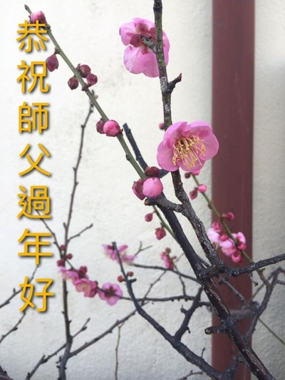 Praktisi Falun Dafa di Wilayah Asia-Pasifik dengan Hormat Mengucapkan Selamat Tahun Baru Imlek kepada Guru Li 