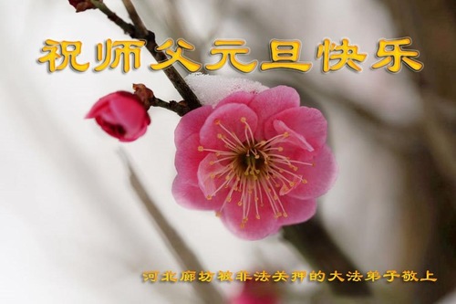 Image for article Praktisi Falun Dafa yang Dipenjara di Tiongkok karena Keyakinan Mereka dengan Hormat Mengucapkan Selamat Tahun Baru kepada Guru Li Hongzhi (23 Ucapan)