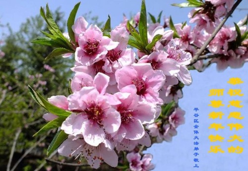 Image for article Praktisi Falun Dafa dari Beijing dengan Hormat Mengucapkan Selamat Tahun Baru kepada Guru Li Hongzhi (23 Ucapan)