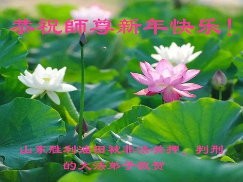 Image for article Praktisi Falun Dafa yang Dipenjara di Tiongkok karena Keyakinan Mereka dengan Hormat Mengucapkan Selamat Tahun Baru kepada Guru Li Hongzhi! (21 Salam)