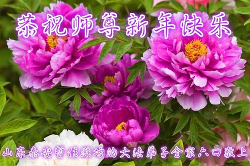 Image for article I praticanti della Falun Dafa della provincia di Shandong augurano rispettosamente al Maestro Li Hongzhi un felice anno nuovo cinese (18 saluti)