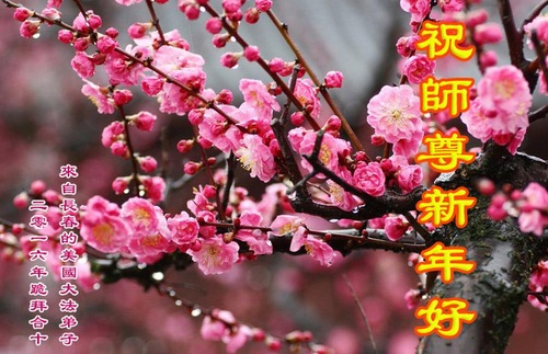 Praktisi Falun Dafa di Amerika Serikat dengan Hormat Mengucapkan Selamat Tahun Baru kepada Guru Li Hongzhi!