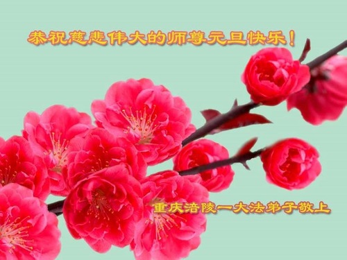 Image for article Praktisi Falun Dafa dari Kota Chongqing Mengucapkan Selamat Tahun Baru kepada Guru Li Hongzhi Terhormat (21 Ucapan)