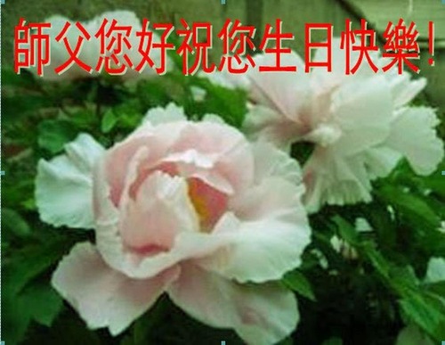 Image for article I praticanti della Falun Dafa di Pechino celebrano la Giornata mondiale della Falun Dafa e augurano rispettosamente al Maestro Li Hongzhi un buon compleanno (32 cartoline)