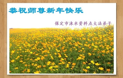 Image for article Praktisi Falun Dafa yang Bekerja di Situs Produksi Materi di 11 Provinsi dengan Hormat Mengucapkan Selamat Tahun Baru Imlek kepada Guru Li Hongzhi 