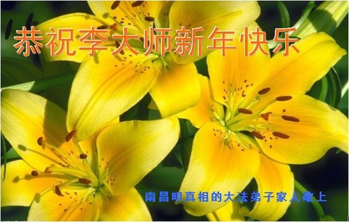 Para Pendukung Falun Dafa Mengirimkan Ucapan Selamat kepada Guru Li Hongzhi, Mengatakan Falun Dafa Membawakan Berkat