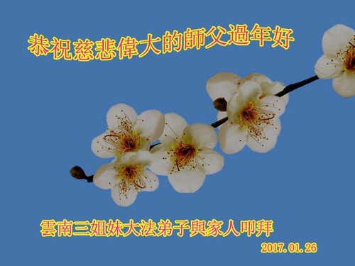 Image for article Praktisi Falun Dafa dari Provinsi Yunnan dengan Hormat Mengucapkan Selamat Tahun Baru Imlek kepada Guru Li Hongzhi (21 Ucapan)