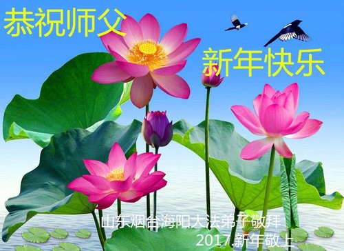 Image for article Praktisi Falun Dafa dari Pedesaan Dengan Hormat Mengucapkan Selamat Tahun Baru Imlek Kepada Guru Li Hongzhi (22 Ucapan)