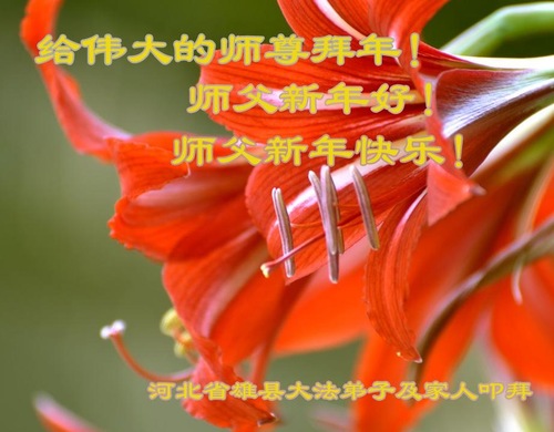 Image for article I praticanti della Falun Dafa di Baoding augurano rispettosamente al Maestro Li Hongzhi un felice anno nuovo cinese (20 saluti)