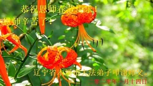 Image for article Praktisi Falun Dafa dari Kota Benxi dengan Hormat Mengucapkan Selamat Tahun Baru Imlek kepada Guru Li Hongzhi (22 Ucapan) 
