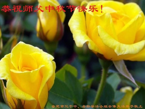 Image for article Praktisi Falun Dafa dari Provinsi Anhui Dengan Hormat Mengucapkan Selamat Merayakan Pertengahan Musim Gugur kepada Guru Li Hongzhi (20 Ucapan)