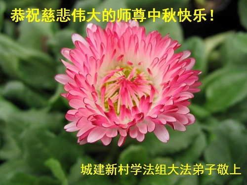 Image for article Praktisi Falun Dafa dari Tiongkok dengan Hormat Mengucapkan Selamat Merayakan Pertengahan Musim Gugur kepada Guru Li Hongzhi (27 Ucapan)