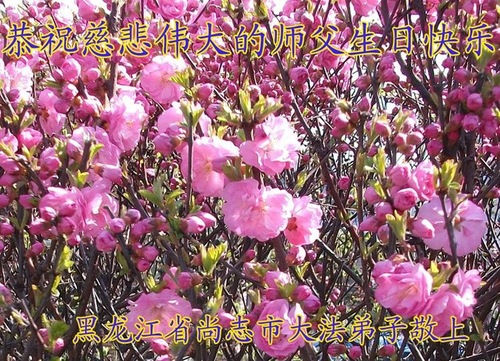 Image for article Praktisi Falun Dafa dari Kota Harbin Merayakan Hari Falun Dafa Sedunia dan Dengan Hormat Mengucapkan Selamat Ulang Tahun kepada Guru Li Hongzhi (18 Ucapan)