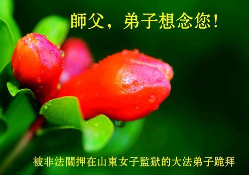 Description: http://en.minghui.org/u/article_images/c8a6602fb1c038d5abe3b1d0ce0685eb.jpg