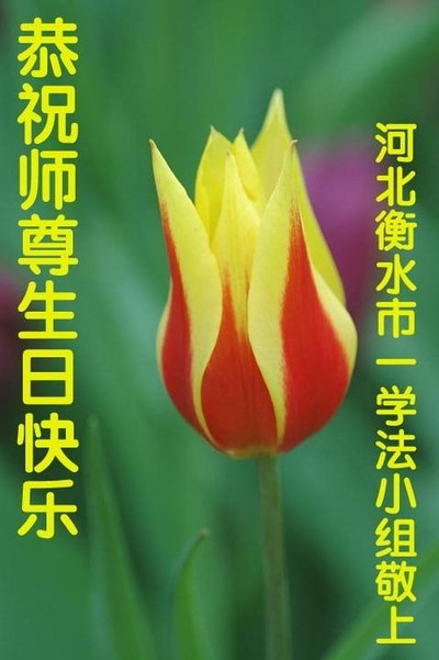 Image for article Praktisi Falun Dafa dari Tiongkok Merayakan Hari Falun Dafa Sedunia dan Dengan Hormat Mengucapkan Selamat Ulang Tahun kepada Guru Li Hongzhi (29 Ucapan)