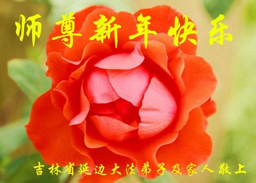 Image for article Praktisi Falun Dafa dari Provinsi Jilin Mengucapkan Selamat Tahun Baru kepada Guru Li Hongzhi Terhormat (27 Ucapan)