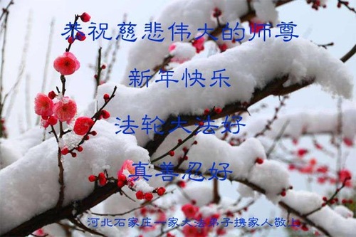 Image for article ​I praticanti della Falun Dafa della città di Shijiazhuang augurano rispettosamente al Maestro Li Hongzhi un felice anno nuovo cinese (26 saluti)
