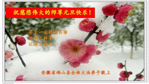 Image for article Praktisi Falun Dafa dari Provinsi Anhui dengan Hormat Mengucapkan Selamat Tahun Baru kepada Guru Li Hongzhi (25 Ucapan)