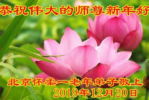 Image for article I praticanti della Falun Dafa di Pechino augurano rispettosamente al Maestro Li Hongzhi un felice anno nuovo (23 saluti)