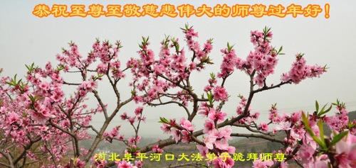 Image for article Praktisi Falun Dafa dari Provinsi Hebei dengan Hormat Mengucapkan Selamat Tahun Baru Imlek kepada Guru Li Hongzhi (19 Ucapan)