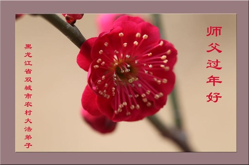 Praktisi Falun Dafa dari Daerah Pedesaan di Tiongkok Mengucapkan Selamat Tahun Baru Imlek kepada Guru Terhormat!