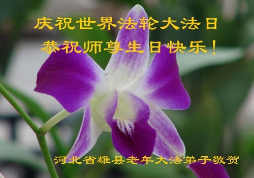 Image for article Praktisi Falun Dafa dari Kota Baoding Merayakan Hari Falun Dafa Sedunia dan Dengan Hormat Mengucapkan Selamat Ulang Tahun kepada Guru Li Hongzhi (27 Ucapan)