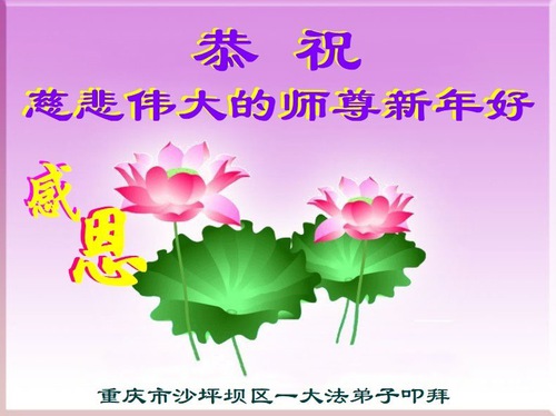 Image for article تمرین‌کنندگان فالون دافا از چونگچینگ با احترام سال نو را به استاد لی هنگجی تبریک می‌گویند (21 تبریک)