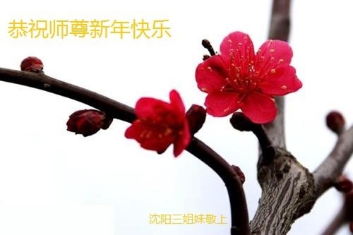 Image for article Praktisi Falun Dafa dari Kota Shenyang Mengucapkan Selamat Tahun Baru Imlek kepada Guru Li Hongzhi yang Terhormat (18 Ucapan)