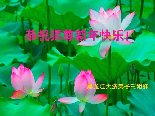 Image for article Praktisi Falun Dafa dari Provinsi Heilongjiang dengan Hormat Mengucapkan Selamat Tahun Baru kepada Guru Li Hongzhi (33 Ucapan)